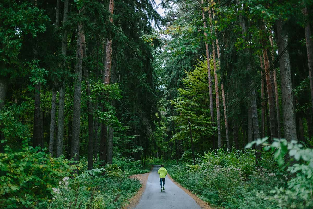 Let’s go on an adventure